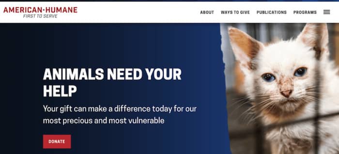 grant writing jobs american humane homepage