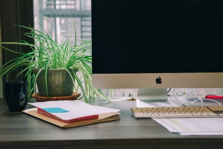 home office essentials - plants